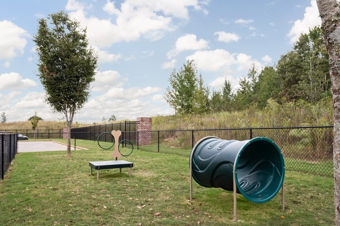 Secure gated dog park boasting agility equipment, verdant grass, and shaded trees.